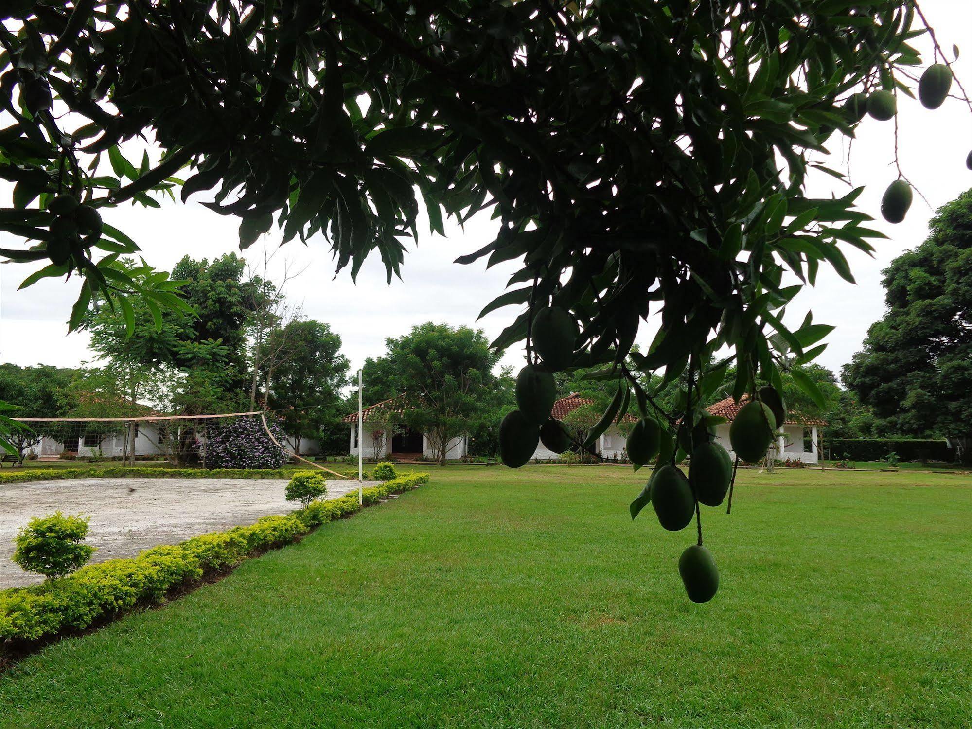 Hotel Campestre Arboretto Βιλιαβισένσιο Εξωτερικό φωτογραφία