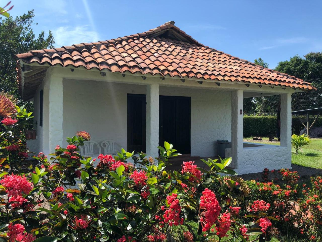 Hotel Campestre Arboretto Βιλιαβισένσιο Εξωτερικό φωτογραφία