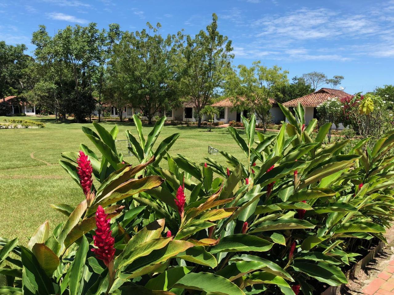 Hotel Campestre Arboretto Βιλιαβισένσιο Εξωτερικό φωτογραφία